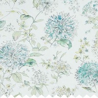 Charlotte Lichen - Curtains