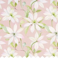 Emily Blossom - Curtains