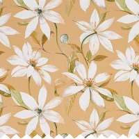 Emily Harvest - Curtains