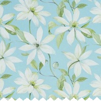 Emily Lichen - Curtains