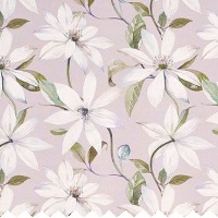 Emily Thistle - Curtains
